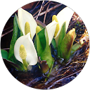 岩木賢治 profile picture